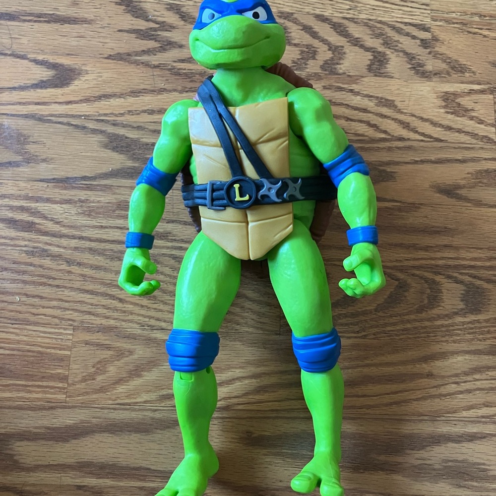 Teenage Mutant Ninja Turtles Action Figure